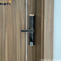 Khóa vân tay cửa gỗ Giovani GSL-A3BK