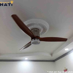 Hình ảnh thực tế quạt Taline khi đang hoạt động