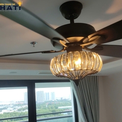 quat-tran-canh-go-glossy-hati6