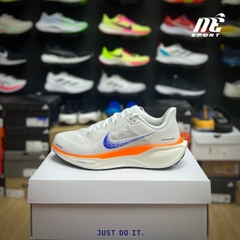 Nike Pegasus 41 HF0013-900