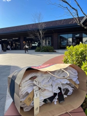 Áo Hoodie Levis