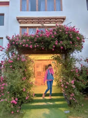 Chelsea Boots Rockport Winter