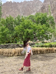 Chelsea Boots Rockport Winter