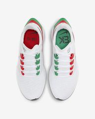 Nike Air Zoom Pegasus 37 Eliud Kipchoge
