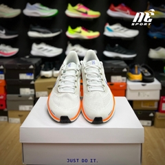 Nike Pegasus 41 HF0013-900