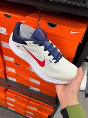 Giày Nike nam Air Winflo 10