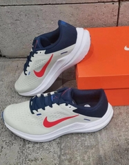 Giày Nike nam Air Winflo 10