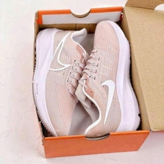 Nike Pegasus 39