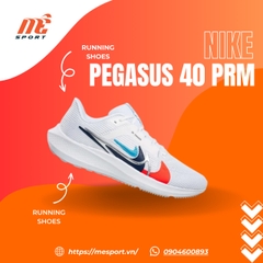 Nike Air Zoom Pegasus 40
