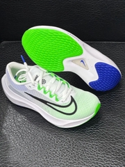 Nike Zoom Fly 5