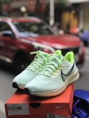 Nike Air Zoom Pegasus 39