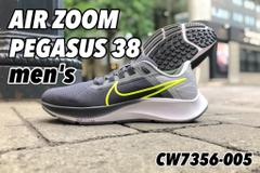 Nike Air Zoom Pegasus 38 CW7356-005