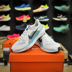 Nike Pegasus 41