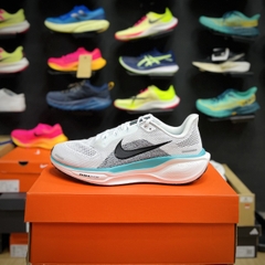 Nike Pegasus 41