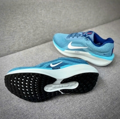 Giày chạy bộ Nam Nike Winflo 11 Air