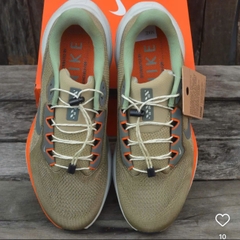 Nike Pegasus 41