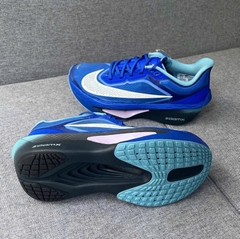 Nike Zoom Fly 6