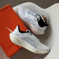 Nike Pegasus 41 - NỮ