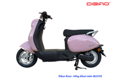 Xe máy điện Dibao Rosa
