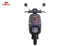 Xe máy điện Dibao Pansy Dio