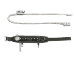 day-dai-bung-adela-h-227-dai-loan