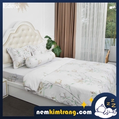 Bộ Ga (Drap) Nệm Modal Edena Mẫu 5006 - CHÍNH HÃNG, CAO CẤP
