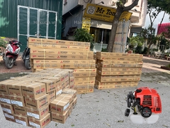 Cách Khắc Phục Những Lỗi Thường Gặp Khi Dùng Máy Cắt Cỏ