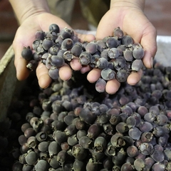 Quả Sim rừng khô loại chín ngon - 1Kg