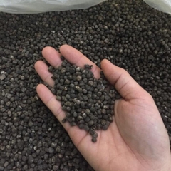 Hạt chuối hột rừng - 1Kg