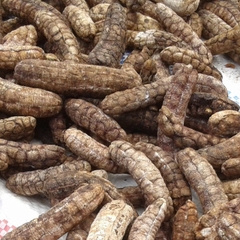 Chuối hột rừng nguyên quả - 1Kg