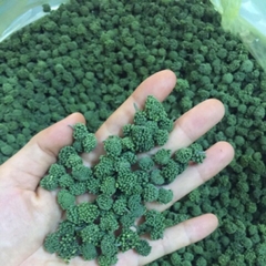 Nụ hoa Tam Thất không chân - 500g