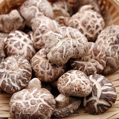 Nấm đông cô khô siêu ngon - 1Kg