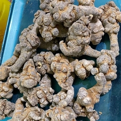 Củ tam thất bắc loại 32củ/kg