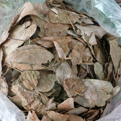 Lá dâm dương hoắc - 500g