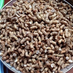 Ba kích tím sapa rút lõi - 500g