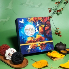 Hộp Bánh trung thu Hạc Vũ 2