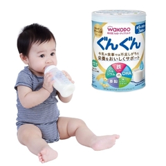 Wakodo Cho Bé Từ 09-36 Tháng - Lon 820g