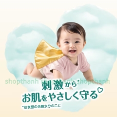 Tã (Bỉm) Quần Pampers Premium dòng cao cấp Nội Địa Nhật