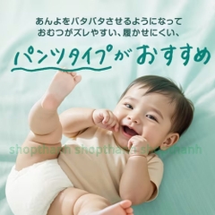Tã (Bỉm) Quần Pampers Premium dòng cao cấp Nội Địa Nhật