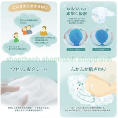 Tã (Bỉm) Quần Pampers Premium dòng cao cấp Nội Địa Nhật
