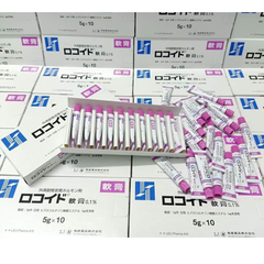 Kem Bôi Vết Muỗi, Côn Trùng Cắn Rokoito Locoid Ointment 0.1%  - 5g