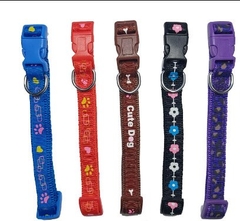 Vòng cổ zichen 2cm