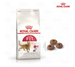 Hạt Royal Canin Fit32 - túi zip 1kg
