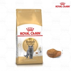 Hạt Royal Canin British Shorthair Adult 400g