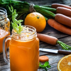Purification Diet