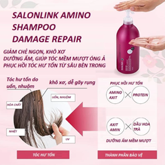 Dầu Gội, Dầu Xả Phục Hồi Hư Tổn Chiết Xuất Hoa Trà Salon Link Amino 1000ml