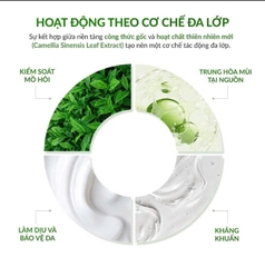 Kem Khử Mùi Không Cồn CAUMOS SARA SARA Cream 2.0 – Bản Nâng Cấp Khô Thoáng Nhẹ Tênh, Chiết Xuất Trà Xanh Nhật Bản