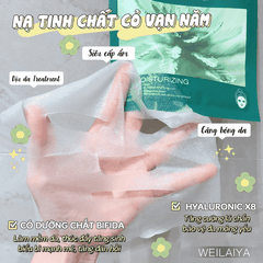 (Chính hãng) Hộp 10 miếng mặt nạ dưỡng trắng da, chống lão hóa, dưỡng ẩm Weilaiya tinh chất hoa hồng, cỏ phục sinh 28ml
