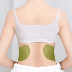 Hộp 12 Miếng Dán Tan Mỡ Bụng Giảm Cân Ngải Cứu Detox Giảm Mỡ Eo Thon Gọn Hiệu Quả Tiện Lợi