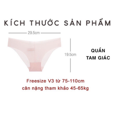 [S32] Combo 10 Quần Lót Nữ Tam Giác Chất Voan Tuyết Tàng Hình Cao Cấp Freesize - GIAO MÀU NGẪU NHIÊN